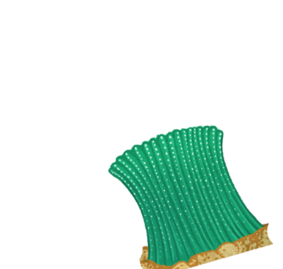 green anemone base