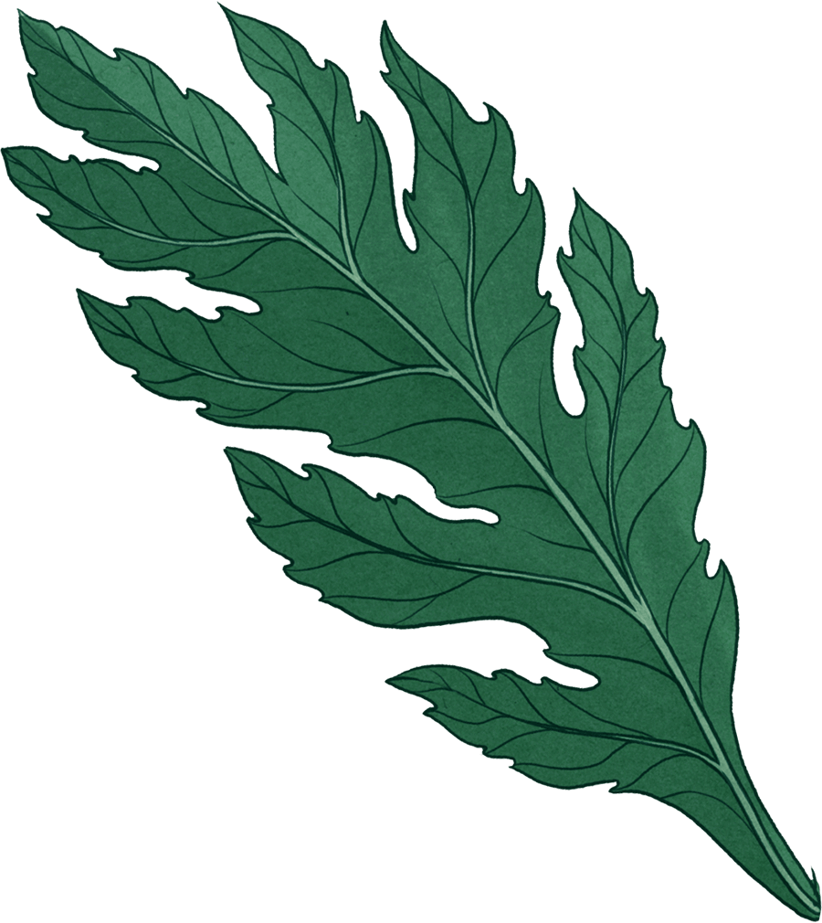 green foreground leaf