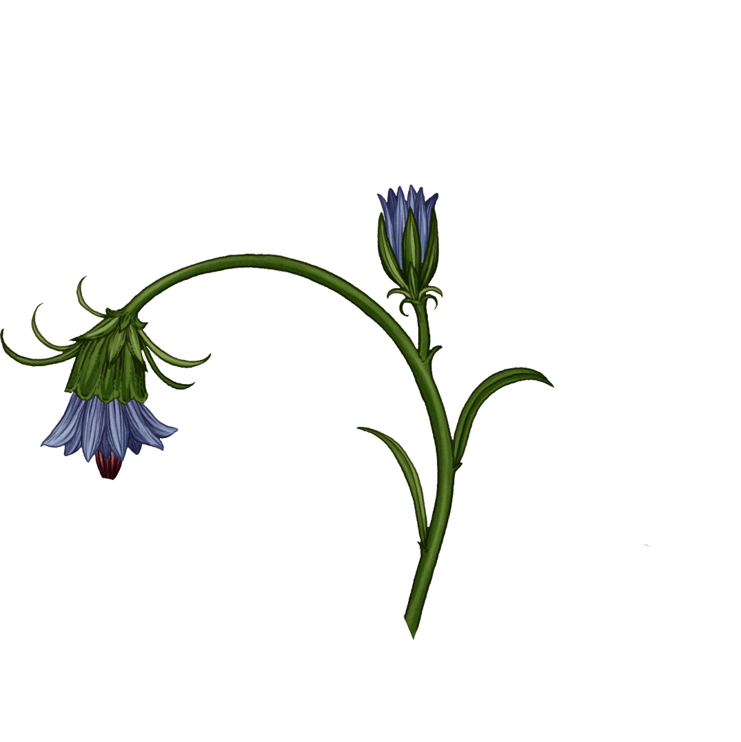 blue flower stem
