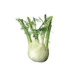 Fragrance Note: Fennel