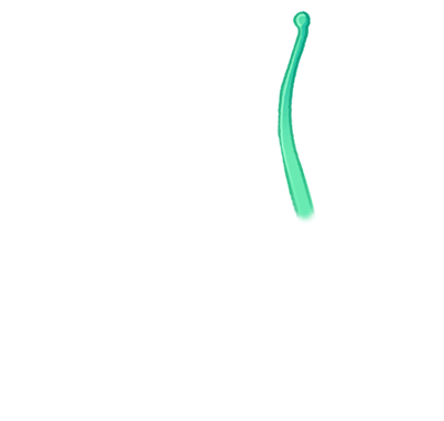 green anemone tentacle twelve
