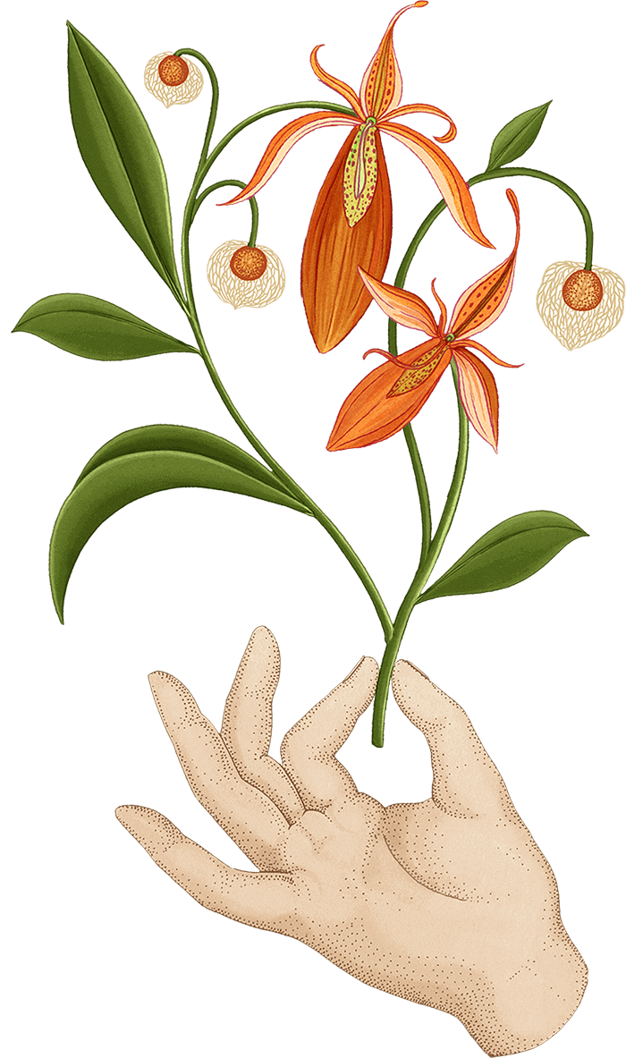 orange flowers with hand
