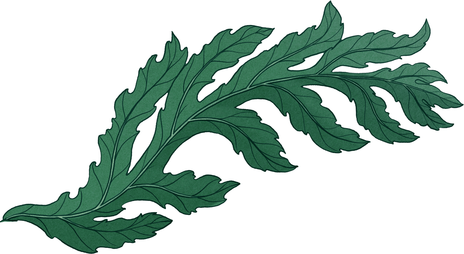 green background leaf