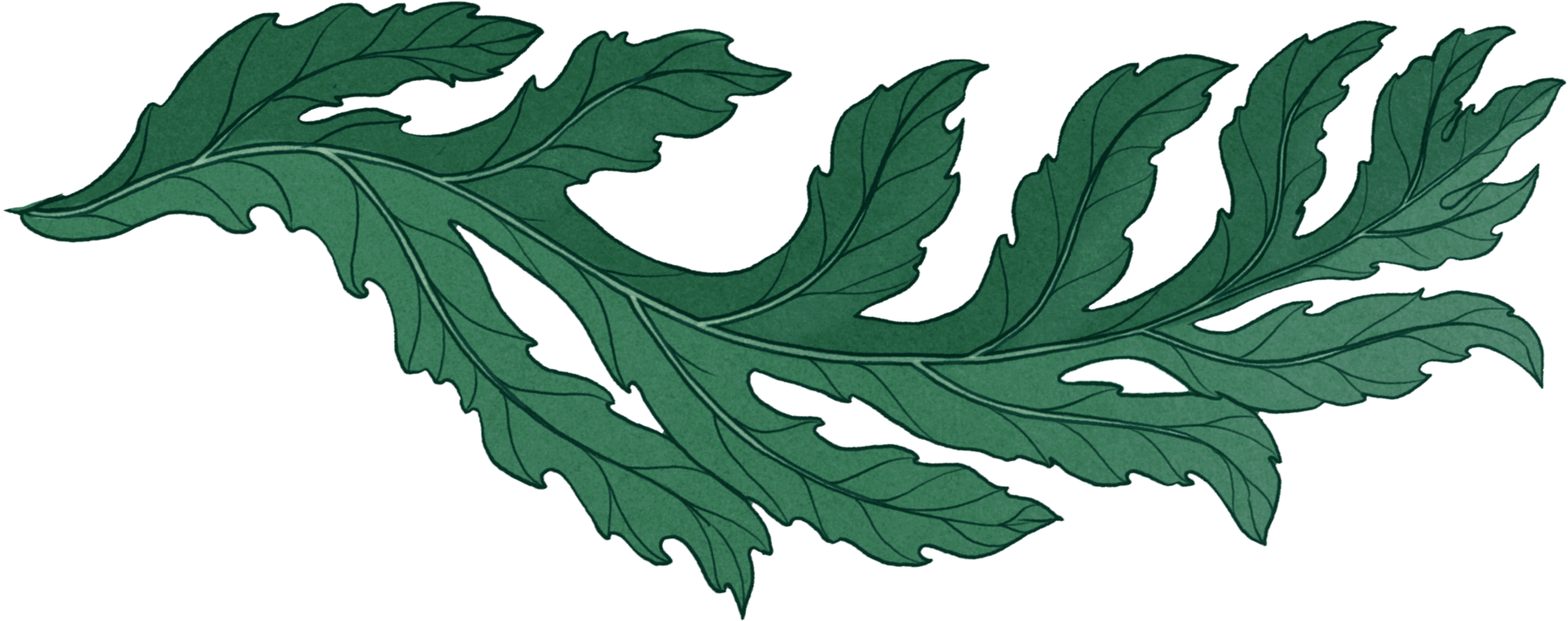 leafinput