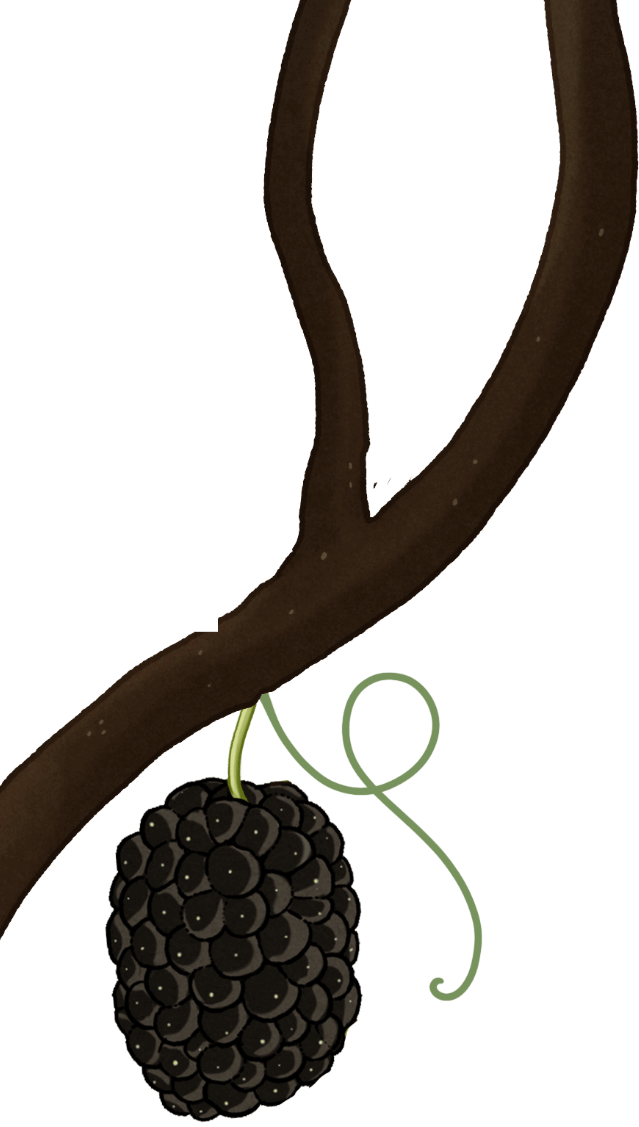 tree with blackberry